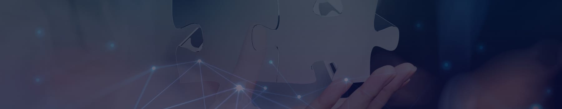 Blueclone Networks Mission